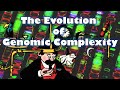 The Evolution of Genomic Complexity