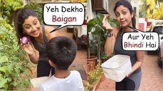 Shilpa Shetty Teaching Son Viaan Kundra About Vegetable In Their Home Garden