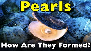 What Really Makes a Pearl?
