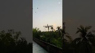 ড্রেনের পানি তে বাসার রাস্তা তলায় যাচ্ছে