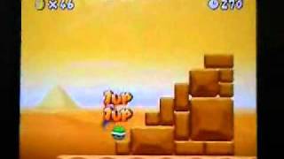 newスーパーマリオブラザーズ　無限１up　ＤＳ