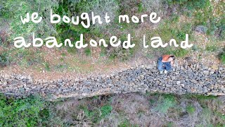 WE BOUGHT MORE ABANDONED LAND! How Much We Paid 💸 \u0026 The FULL Story [12 months]