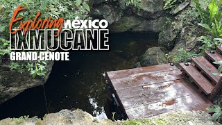 Exploring the Ixmucane Grand Cenote \u0026 Resort Wildlife!