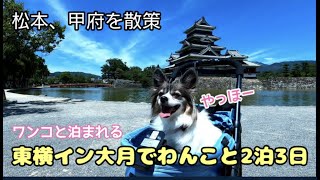 ペットと泊まれる東横イン大月が綺麗広かった！長野県へ遊びに行くならこんなプランはいかがでしょう