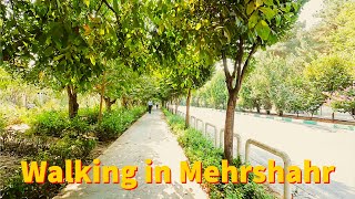 Walking in Mehrshahr Karaj - a luxury neighborhood in Iran - پیاده روی در مهرشهر کرج