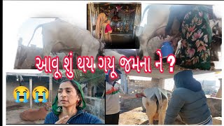 આવું શું થયું જમના ને ? @Gauri Gir Gaushala