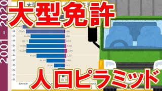 【旧版】 大型免許の人口ピラミッド(2001-2020) / 性別・年齢階級別にみた大型免許現在数・交付件数