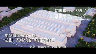 All-vanadium redox flow battery 全钒液流电池