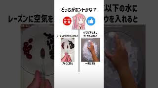 食べ物雑学クイズ左右どっち？part362【琴葉茜/琴葉葵】#shorts