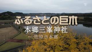 【千葉県市原市】空から見た巨木の映像「ふるさとの巨木」～三峯神社～