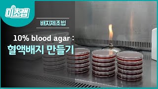 MBcell 10% 혈액배지 만들기 !! ( 10% blood agar plate )