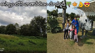 చూడచక్కగా వుండే అస్సాం అందాలు చూడండి,Best place in natural lovers