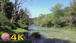 4K Relaxing on the banks of Erymanthos river a sunshine day, with calming bird song