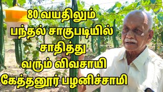 எப்போதும் கைவிடாத பந்தல் சாகுபடி எப்படி ஆரம்பிப்பது? organic