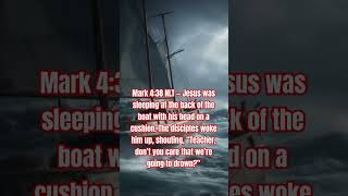 Mark 4:38 NLT #bibleverse #nofear #trustinggodinthestorm #trustinjesus  #DreamScreenAI