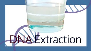 Extracting your own DNA