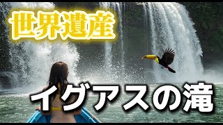 【世界遺産】虹とオオハシのセレナーデ（イグアスの滝）