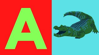 ABC WITH REAL ANIMALS |A FOR ALLIGATOR| A TO Z ANIMALS