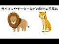 「誰かに言いたくなる雑学１６〜２０」 雑学 誰かに教えたくなる雑学 役に立つ雑学