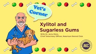 Xylitol and Sugarless Gums | Vet's Corner with Dr. Jerry Klein