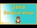 Java Sentinal Value in a While Loop - Easy Java Programming Tutorial - Appficial