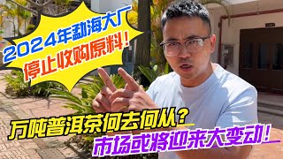 勐海大廠停止收購原料！萬噸普洱茶何去何從？市場或將迎來大變動！購茶請加微信WeChat或LINE：csaw01 （微信與LINE同號）#茶 #茶叶 #普洱茶 #古树茶#老班章#易武#喝茶