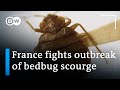 France: Bedbugs send shivers through Paris | DW News