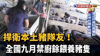 9月禁廚餘餵飼 豬農增加飼料支出吃不消－民視台語新聞