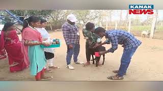 Bazaar Halchaal: Educated Kalahandi Couple Excels In Establishing Goat Bank, Fostering Employment