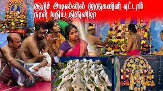 சூரிச் அடிஸ்வில் முருகனின் எட்டாம் நாள் மதிய திருவிழா.16.08.2024