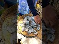 🐟🐠🐟🐠आज गेलो पड़घा मच्छी मार्केट fish shopping today trending shortclip viral kokan shoppi