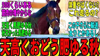 【競馬の反応集】「ドウデュース、秋天から中3週で14kg増」に対する視聴者の反応集