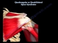 Quadrangular, axillary nerve injury  Everything You Need To Know - Dr. Nabil E