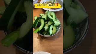 【オバケ退治】収穫した激やばサイズのきゅうりは浅漬けでどうぞ