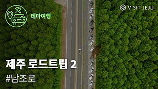 [드라이브 in 제주] 로드트립 - 남조로편