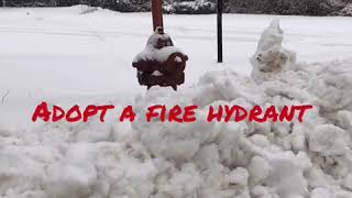 Help Us, Help You: Keep Addresses and Fire Hydrants Clear