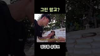 그린 망고?? (그냥 덜 익은 망고 ㅋㅋㅋ) #shorts