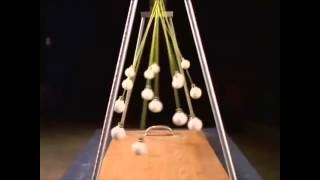 WOW! Pendulum Wave Effect
