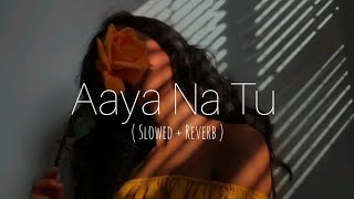 AAYA NA TU ( slowed + reverb ) - Arjun Kanungo, Momina Mustehsan