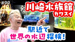 多摩川からアマゾン川まで！世界の水辺が川崎に✨音・光・映像で魅せる次世代エンタメ水族館にウド鈴木が潜入【カワスイ×ウド様おねが～い!!】#99