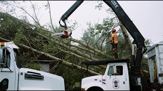 Nisula 205E tree shears helping the recover of hurricane Fiona in Nova Scotia, Canada!