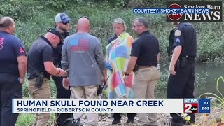 Human skull found near Springfield creek