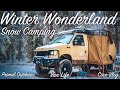 Snow Camping in a Winter Wonderland - Van Life