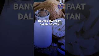 Sobat Patuh udah pada tahu belum sih? Ternyata ada banyak sekali manfaat dari santan kelapa lho!