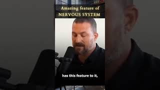 Dr Andrew Huberman Nervous System