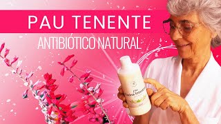 Pau tenente combate: diabetes, gastrite, dermatite, rosácea, seborreia e até mesmo o câncer!