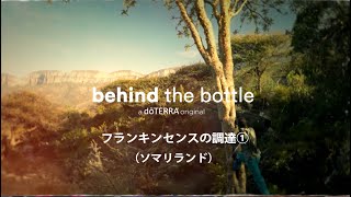 Behind the Bottle：フランキンセンスの調達①（ソマリランド地域）