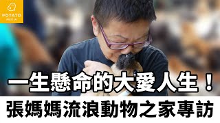 Potato Media 薯新聞-「張媽媽流浪動物之家」專訪