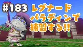 #183【ドラクエ10】サポで練習！パラディンでレグナード１の練習するぞぉ！ネタバレあり