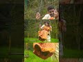 muthalam santhipil, with love#ytshortsvideo #ytshorts #trending #trending